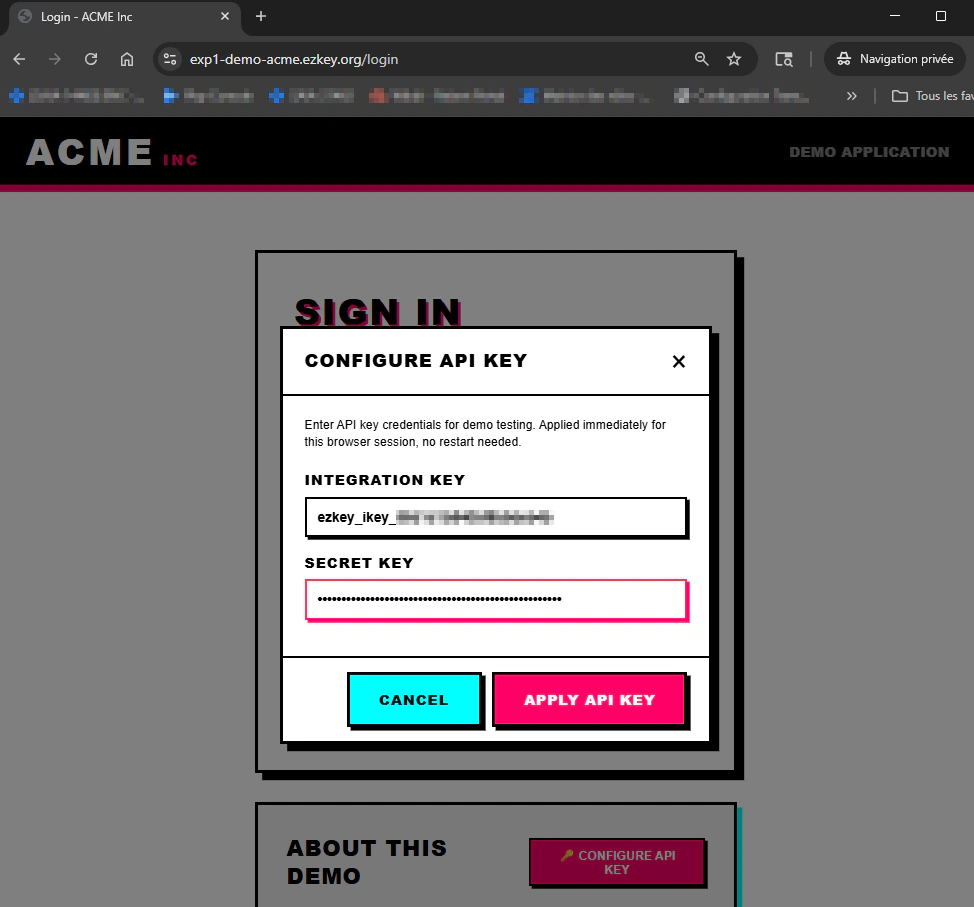 Acme demo: API key entry